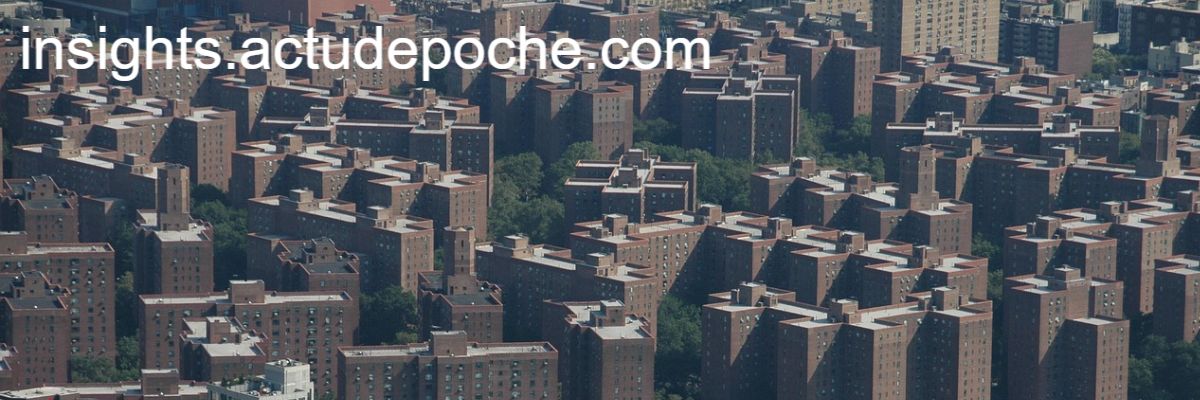 insights.actudepoche.com
